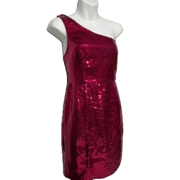 FOREVER 21 Hot Pink Fitted Sequin Dress Size Large NWT (Partial Tag) - Picture 10 of 16